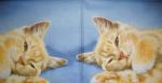 049 Cats - 3-ply - Colourful Life